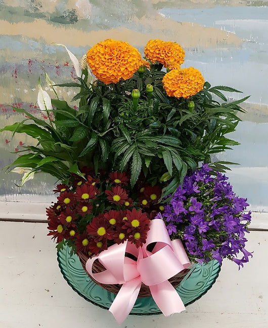 Exotic Grace Dish Garden