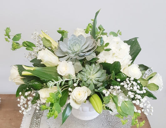 Luxury Succlent Pot Arrangement