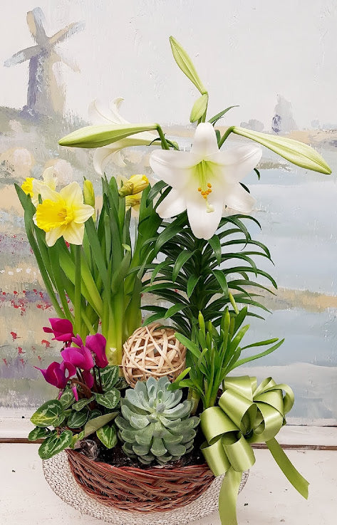 Easter Lily Dish Garden