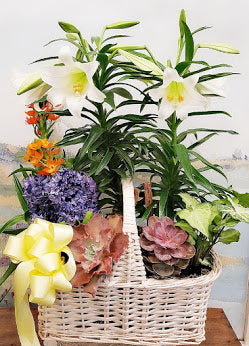 Easter Lily Dish Garden