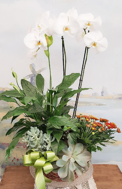 Fall Season Orchid Dish Garden