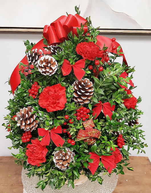 Large Christmas Boxwood tree