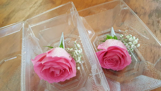 2019 Pink Rose Boutonniere